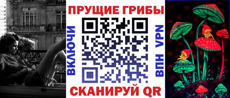 Галлюциногенные грибы Cubensis Луховицы
